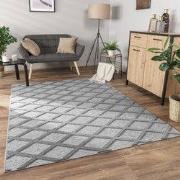 Laagpolig Modern Vloerkleed Utrilia - Grijs - 160x220 cm