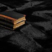 Hoogpolig Rabbit Plus Vloerkleed - Effen Uni - Zwart - 120x160 cm