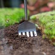 URBANJNGL - Terrarium Tool - Hark - 16-49 cm - Telescopisch - Roestvas...