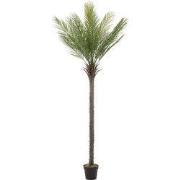 Kunstpalm 210 cm Tropische kunstpalm in pot ML design