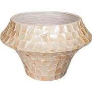 PTMD Daven Cream Poly Shell Bamboo Pot Round Low L