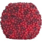 Light & Living - Vaas BERRIES - 32x18x27.5cm - Rood