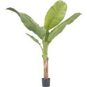 Kunstplant musa bananenplant – Hoogte 150cm