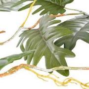 Philodendrn selloum l115b37h9 cm grn