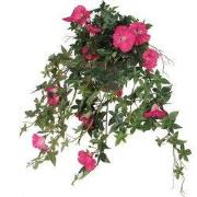 Petunia hanging d. pink in pot Stan grey d11,5cm - l50xw45xh25cm