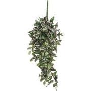 Tradescantia hanging green - l80xw30xh15cm