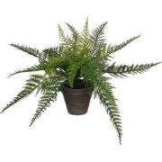 Mica Decorations Varen Kunstplant in Bloempot Stan - H38 x Ø50 cm - Gr...