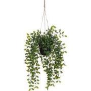 Ficus hanging in pot green - l46xd20cm