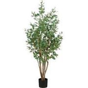 Poplar in pot green - h110xd60cm