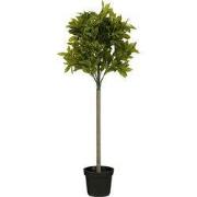 Laurel tree green waterproof & UV resistant - h120xd40cm