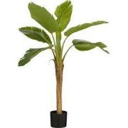 Banana tree in pot green - h120xd70cm