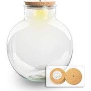 URBANJNGL - Terrarium fles ‘Bolder Bob’ - Incl. (LED) kurk - Gesloten ...