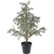 Mini boom prelit d60h120 cm groen/wit