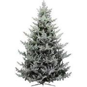 Kunstkerstboom Reykjavik frost H: 240 cm