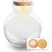 URBANJNGL - Terrarium fles 'Teddy' - Incl. (LED) kurk - Gesloten terra...