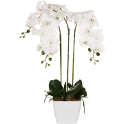 ORCHID - Kunstplant - Wit/Groen - 59 cm - Synthetisch