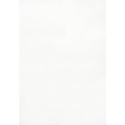 MIRPUR - Shaggy vloerkleed - Wit - 160 x 230 cm - Polyester