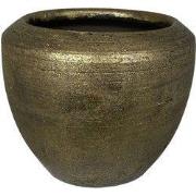 HS Potterie Kos Pot Goud - 27