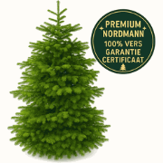 Plant&More - Nordmann Kerstboom 300 - 350 cm - Zonder Kluit + Garantie...