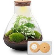URBANJNGL - Sam XL - Planten Terrarium met licht - DIY kit - Ecosystee...