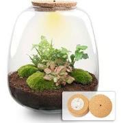 URBANJNGL - Emma - Planten Terrarium met licht - DIY kit - Ecosysteem ...
