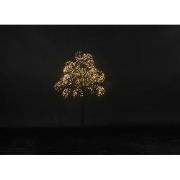 Kerstboom LED Dorion S zwart