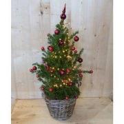Echte kerstboomje 40 cm in mand met verlichting rood