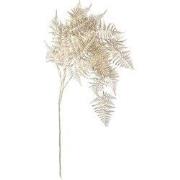 Kunstblad Asparagus metallic champagne