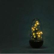 URBANJNGL - Egg Christmas - Plantenterrarium met kerstboom en verlicht...