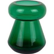 Present Time - Vaas Excelente - Groen