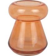 Present Time - Vaas Excelente - Helderoranje