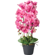 ORCHID - Kunstplant - Roze - 65 cm - Synthetisch materiaal