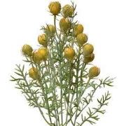 Clayre & Eef Kunstbloem 47 cm Geel Kunststof