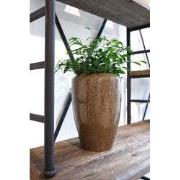 HS Potterie Marseille Vaas - 23x35