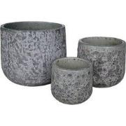 PTMD - Pot Dairsai - Groen - 46x46x40cm - Set van 3