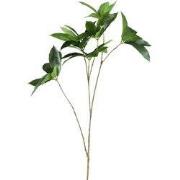 PTMD - Kunstblad Leaves - Groen - 90x54x120cm