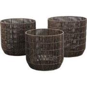 PTMD - Mand Danielius - Zwart - 41x41x39cm - Set van 3