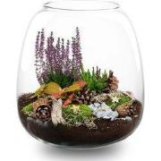URBANJNGL - Cosy Winter terrarium - Planten terrarium met kurk - DIY k...