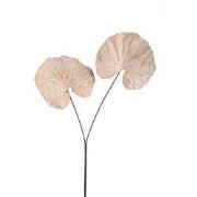 PTMD - Kunstblad Leaves - Beige - 62x57x90cm