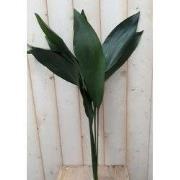 4 stuks - Kerstgroen bosje groot groen blad