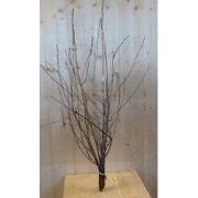 Kerstgroen Bruine takken tak decoratie