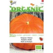 5 stuks - Organic Pompoen Etampes (Skal 14725) Tuinplus