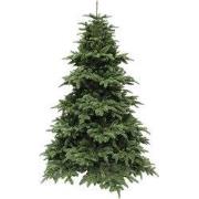 Nordmann kunstkerstboom deluxe abies groen h215 d155 cm