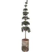 Clayre & Eef Mini Kunstkerstboom 15x15x80 cm Groen Hout