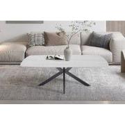 Salontafel 'Apollo' 130 cm Deens Ovaal Steen Baroque Grijs