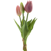 PSO Holland Tulip bundle Sally x3 pink 25 cm kunstbloem
