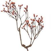 Clayre & Eef Decoratie Tak 30x4x85 cm Oranje Kunststof