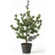URBANJNGL - Dennenboom (Cedar Pine) 80, 120 & 150 cm – Kunstplant in p...