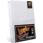 Superieur Hoeslaken - 160x210/220 cm - Wit - 100% katoen