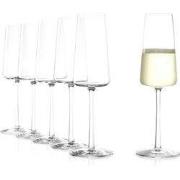 set/6 champagne flute 24 cl Power
